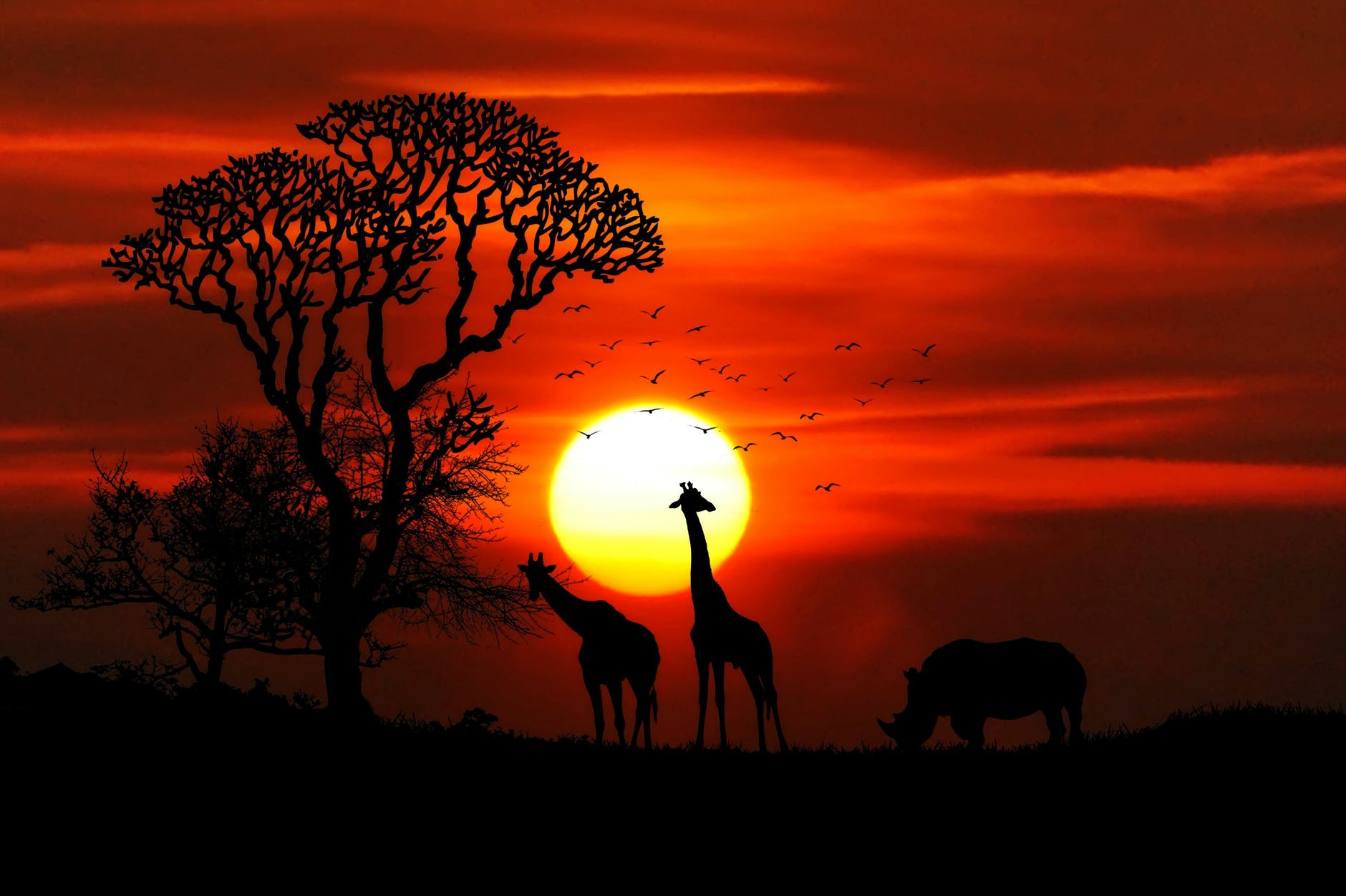 You are currently viewing Don’t waste your time going on a “CX Safari”