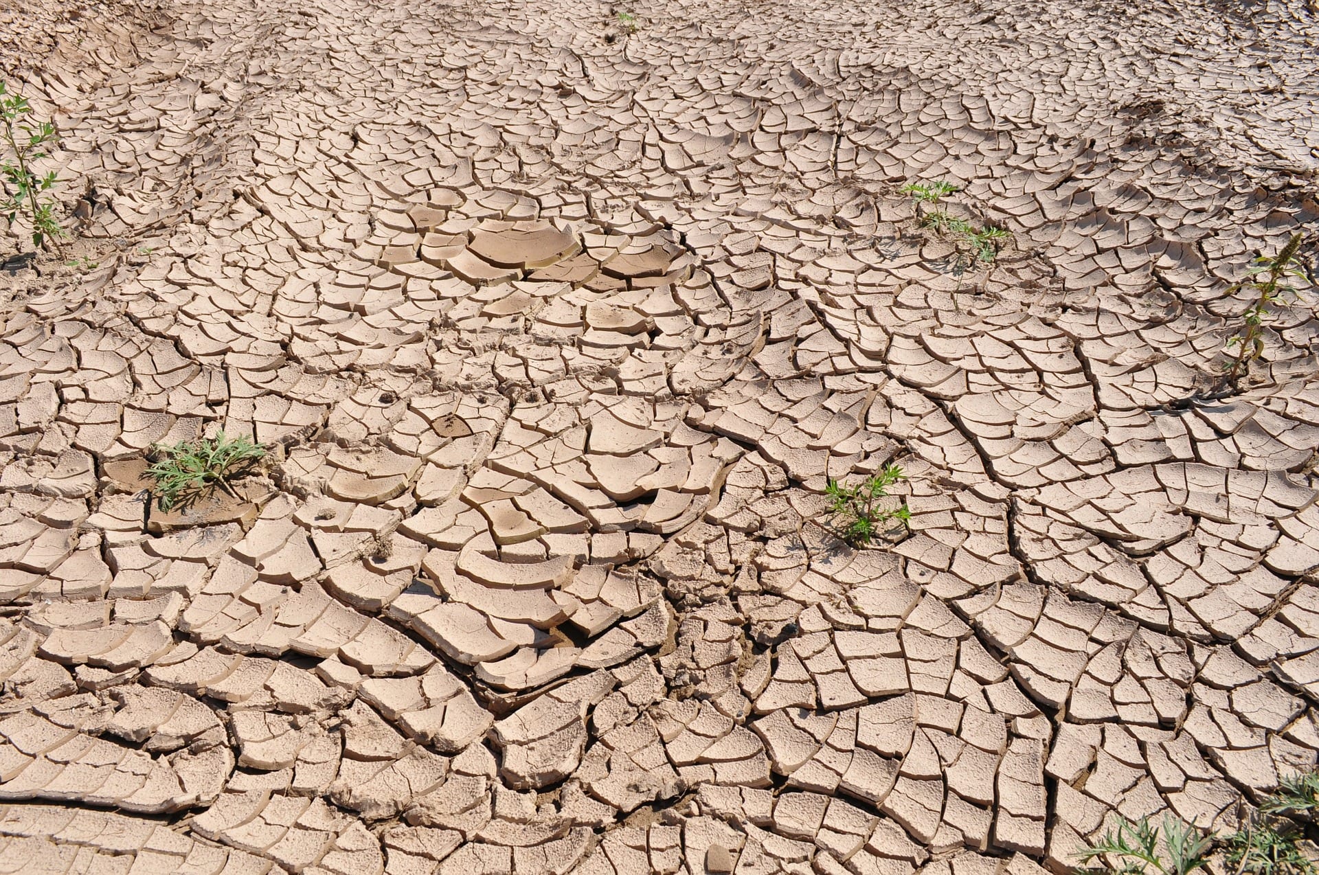 You are currently viewing Can customers win the fight against global warming?