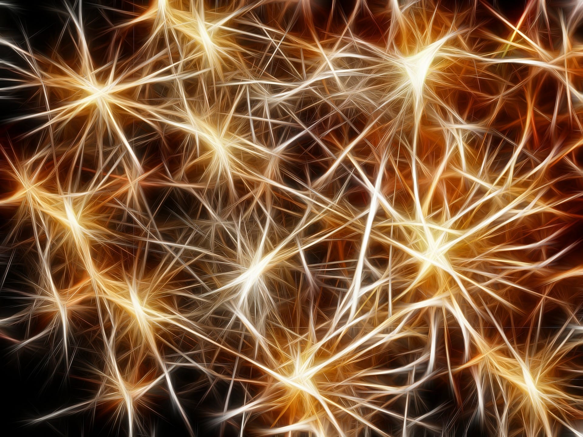 You are currently viewing Want to increase productivity and reduce stress? Get mindful!