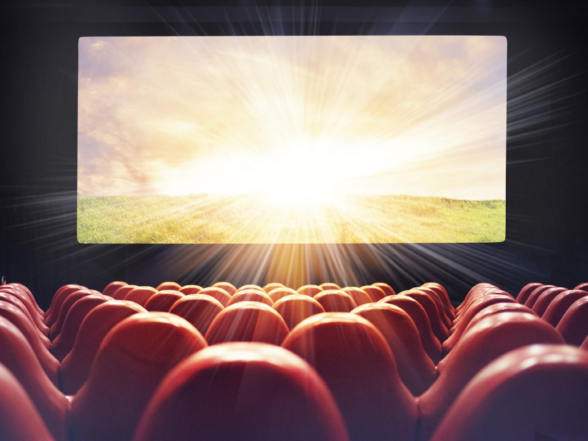 You are currently viewing A single story